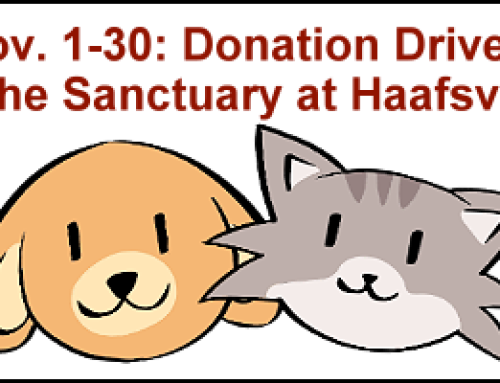 Nov. 1-30: Donation drive for The Sanctuary at Haafsville!